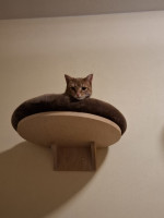 /album/198/whatsapp-image-2026-02-23-at-21-24-17-5-jpeg/